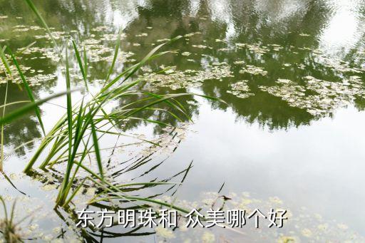 上海眾美窩窩,上海兔窩窩親子樂園