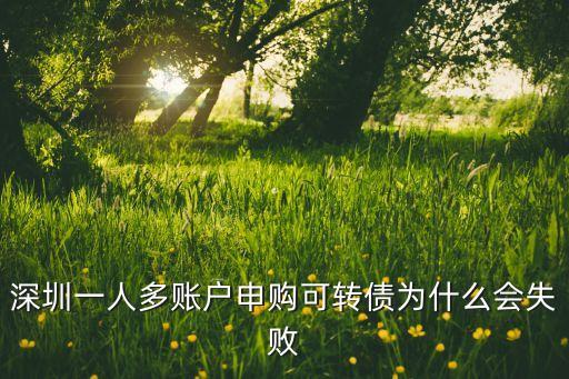 深圳一人多賬戶申購可轉債為什么會失敗