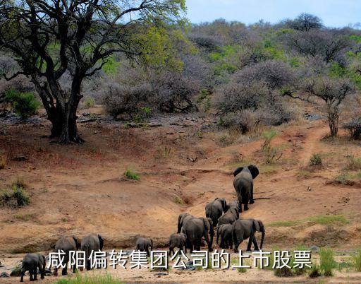 咸陽偏轉(zhuǎn)集團(tuán)公司的上市股票