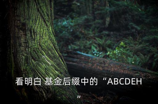 看明白 基金后綴中的“ABCDEH”