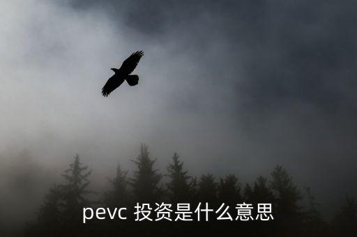 pevc 投資是什么意思