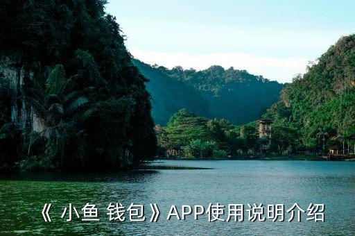 《 小魚 錢包》APP使用說(shuō)明介紹