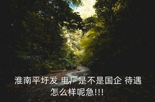  淮南平圩發(fā) 電廠是不是國(guó)企 待遇怎么樣呢急!!!