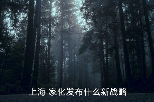  上海 家化發(fā)布什么新戰(zhàn)略