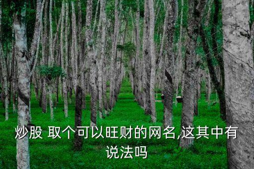 炒股 取個(gè)可以旺財(cái)?shù)木W(wǎng)名,這其中有說法嗎