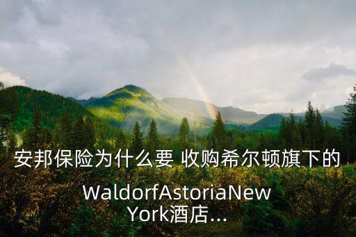 安邦保險(xiǎn)為什么要 收購希爾頓旗下的WaldorfAstoriaNewYork酒店...