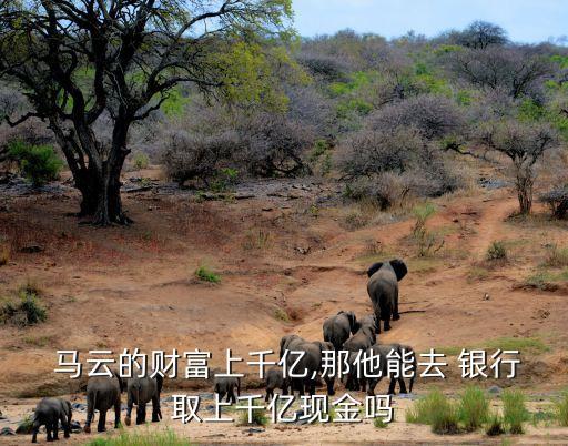  馬云的財(cái)富上千億,那他能去 銀行取上千億現(xiàn)金嗎