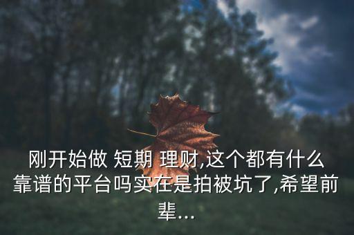 剛開始做 短期 理財(cái),這個(gè)都有什么靠譜的平臺(tái)嗎實(shí)在是拍被坑了,希望前輩...