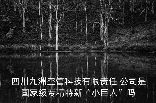  四川九洲空管科技有限責任 公司是國家級專精特新“小巨人”嗎