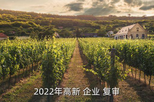 2022年高新 企業(yè) 復審