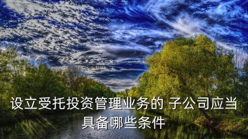 設立受托投資管理業(yè)務的 子公司應當具備哪些條件