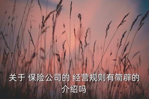 關(guān)于 保險(xiǎn)公司的 經(jīng)營規(guī)則有簡辟的介紹嗎