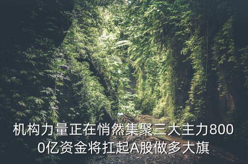 機(jī)構(gòu)力量正在悄然集聚三大主力8000億資金將扛起A股做多大旗