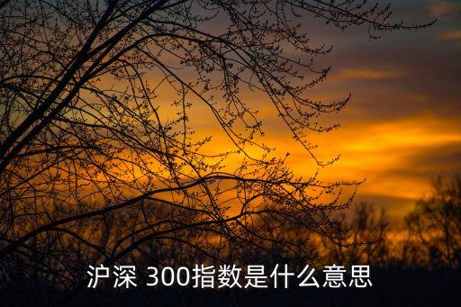 滬深 300指數(shù)是什么意思