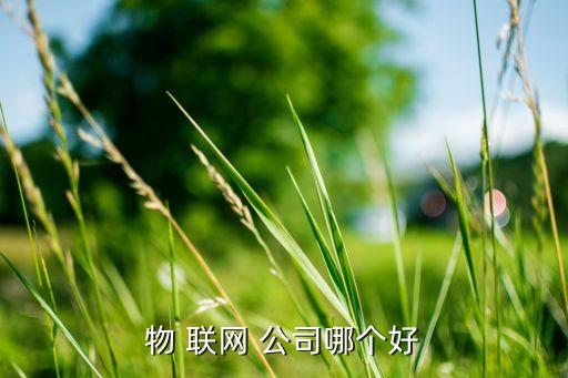 物 聯(lián)網(wǎng) 公司哪個好