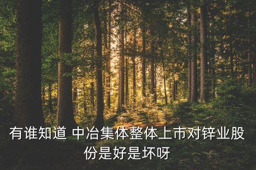 有誰(shuí)知道 中冶集體整體上市對(duì)鋅業(yè)股份是好是壞呀