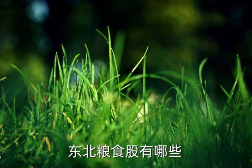 河南登海正糧種業(yè)有限公司