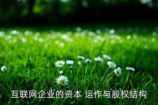 互聯(lián)網(wǎng)企業(yè)的資本 運作與股權(quán)結(jié)構(gòu)