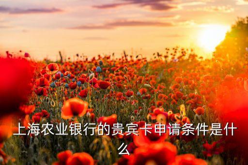  上海農(nóng)業(yè)銀行的貴賓卡申請(qǐng)條件是什么