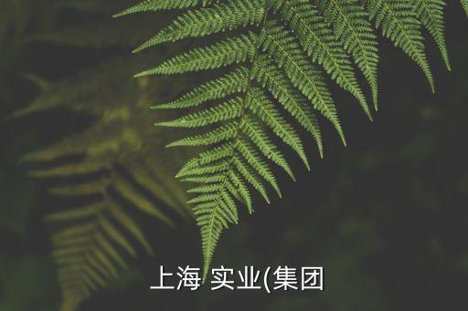  上海 實業(yè)(集團