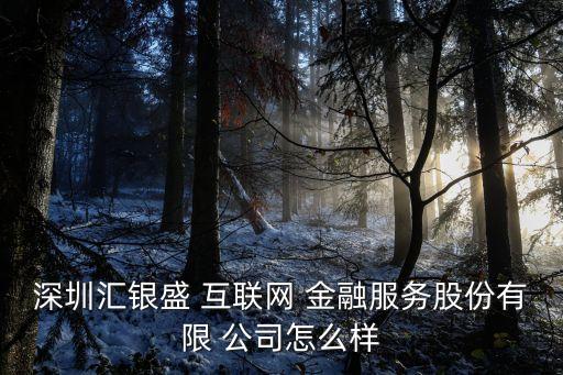 深圳匯銀盛 互聯(lián)網(wǎng) 金融服務(wù)股份有限 公司怎么樣