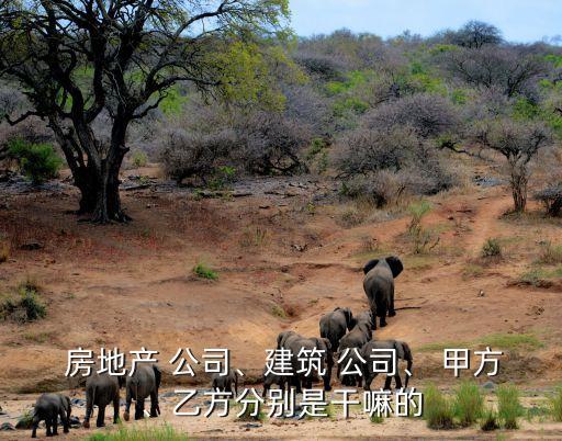  房地產 公司、建筑 公司、 甲方、乙方分別是干嘛的