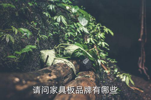 請(qǐng)問家具板品牌有哪些