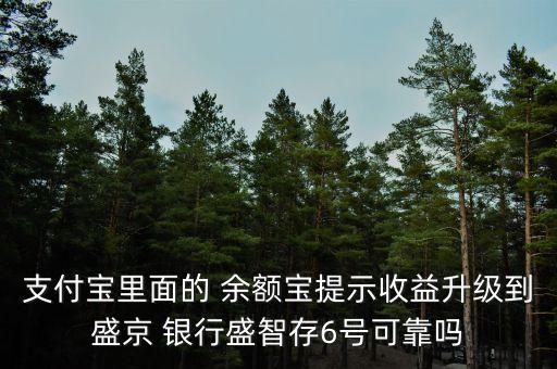 支付寶里面的 余額寶提示收益升級到盛京 銀行盛智存6號可靠嗎