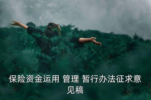 保險資金運(yùn)用 管理 暫行辦法征求意見稿