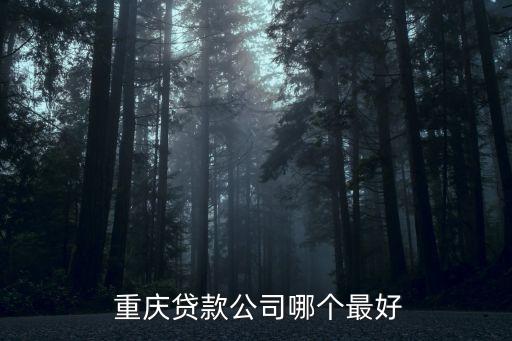  重慶貸款公司哪個(gè)最好