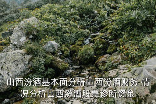 山西汾酒基本面分析山西汾酒財(cái)務(wù) 情況分析山西汾酒股票診斷資金