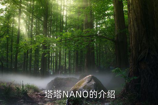  塔塔NANO的介紹