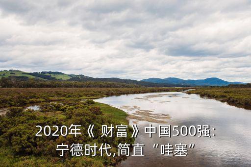 2020年《 財富》中國500強:寧德時代,簡直“哇塞”