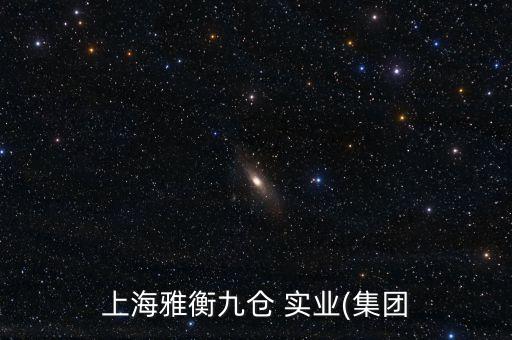 瑕和實業(yè)有限公司,星際光(上海)實業(yè)有限公司