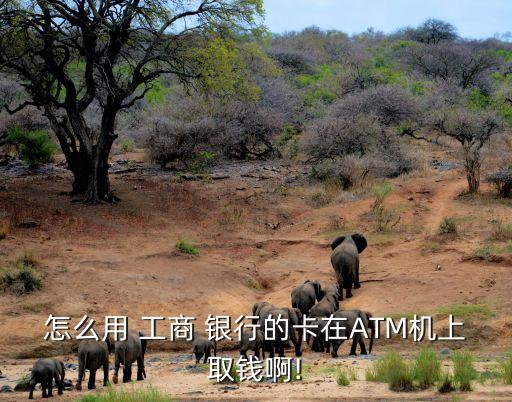 怎么用 工商 銀行的卡在ATM機(jī)上取錢啊!