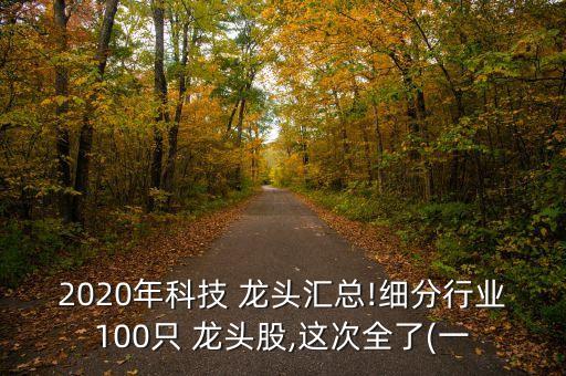 2020年科技 龍頭匯總!細分行業(yè)100只 龍頭股,這次全了(一