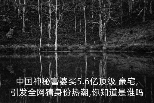 中國神秘富婆買5.6億頂級(jí) 豪宅,引發(fā)全網(wǎng)猜身份熱潮,你知道是誰嗎