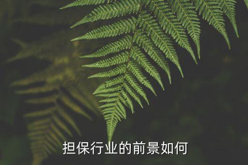  擔(dān)保行業(yè)的前景如何