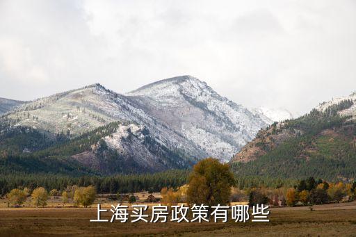 上海戶籍單身購房條件,上海外地戶籍購房條件