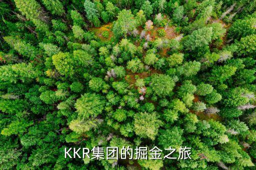 kkr中國成長基金