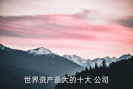 世界資產(chǎn)最大的十大 公司