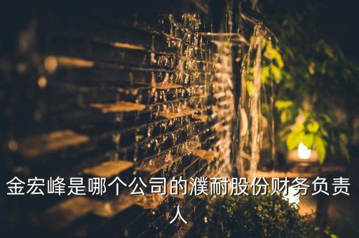 金宏峰是哪個(gè)公司的濮耐股份財(cái)務(wù)負(fù)責(zé)人