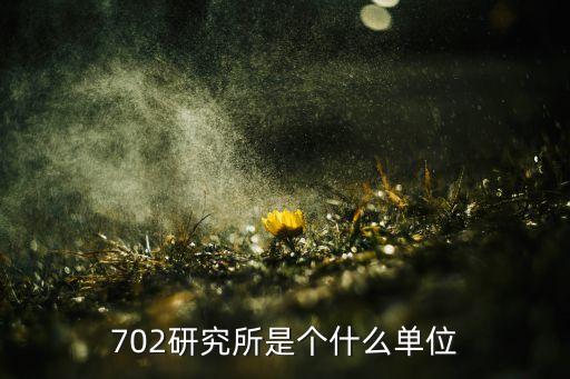 702研究所是個(gè)什么單位