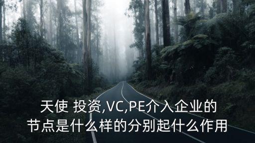  天使 投資,VC,PE介入企業(yè)的節(jié)點是什么樣的分別起什么作用