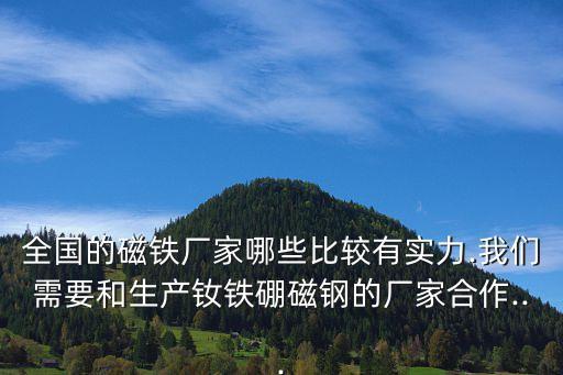 全國的磁鐵廠家哪些比較有實力.我們需要和生產釹鐵硼磁鋼的廠家合作...