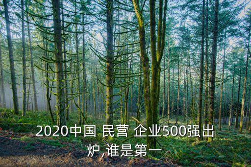 2020中國 民營 企業(yè)500強(qiáng)出爐,誰是第一