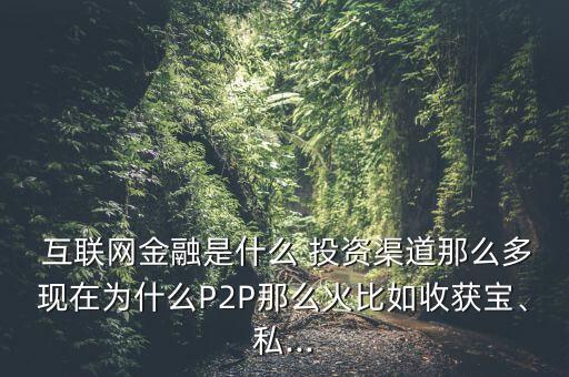  互聯(lián)網(wǎng)金融是什么 投資渠道那么多現(xiàn)在為什么P2P那么火比如收獲寶、私...