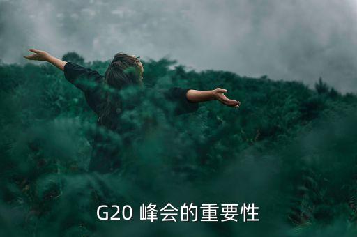 G20 峰會(huì)的重要性