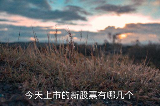 龍韻股份是什么公司,龍韻山河是什么意思?