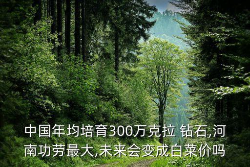 中國(guó)年均培育300萬(wàn)克拉 鉆石,河南功勞最大,未來(lái)會(huì)變成白菜價(jià)嗎